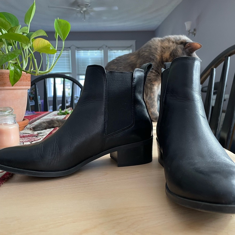 Steve Madden Chelsea boots, black. Size 6.5